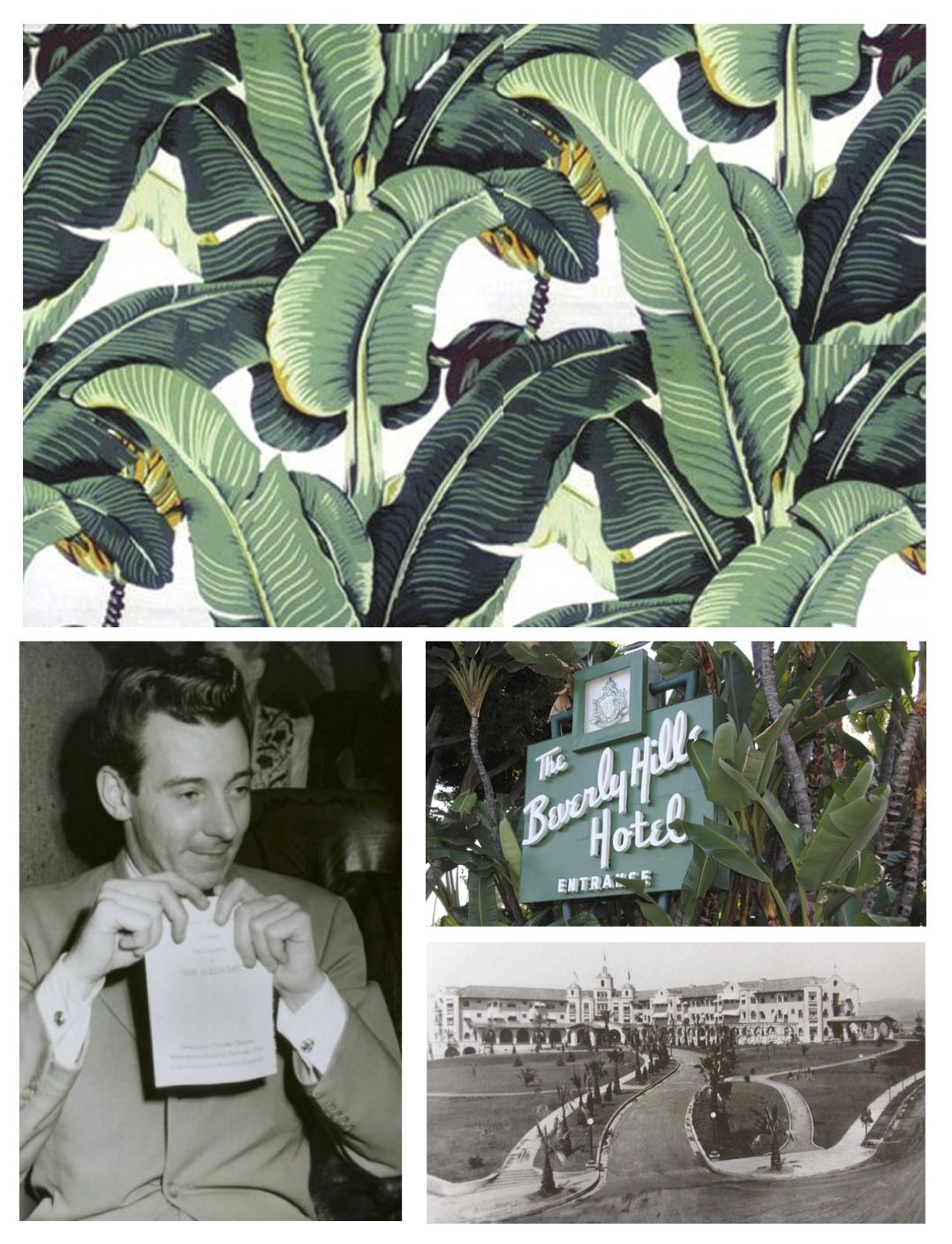 Banana Leaf Wallpaper Hotel - HD Wallpaper 