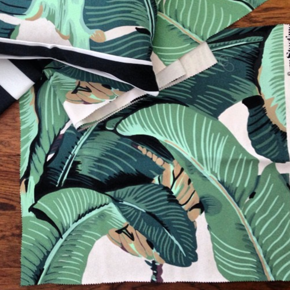 Beverly Hills Palm Leaf - HD Wallpaper 