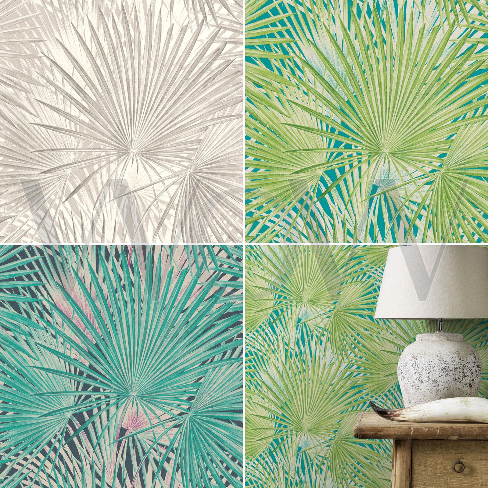 Albany Palm - HD Wallpaper 