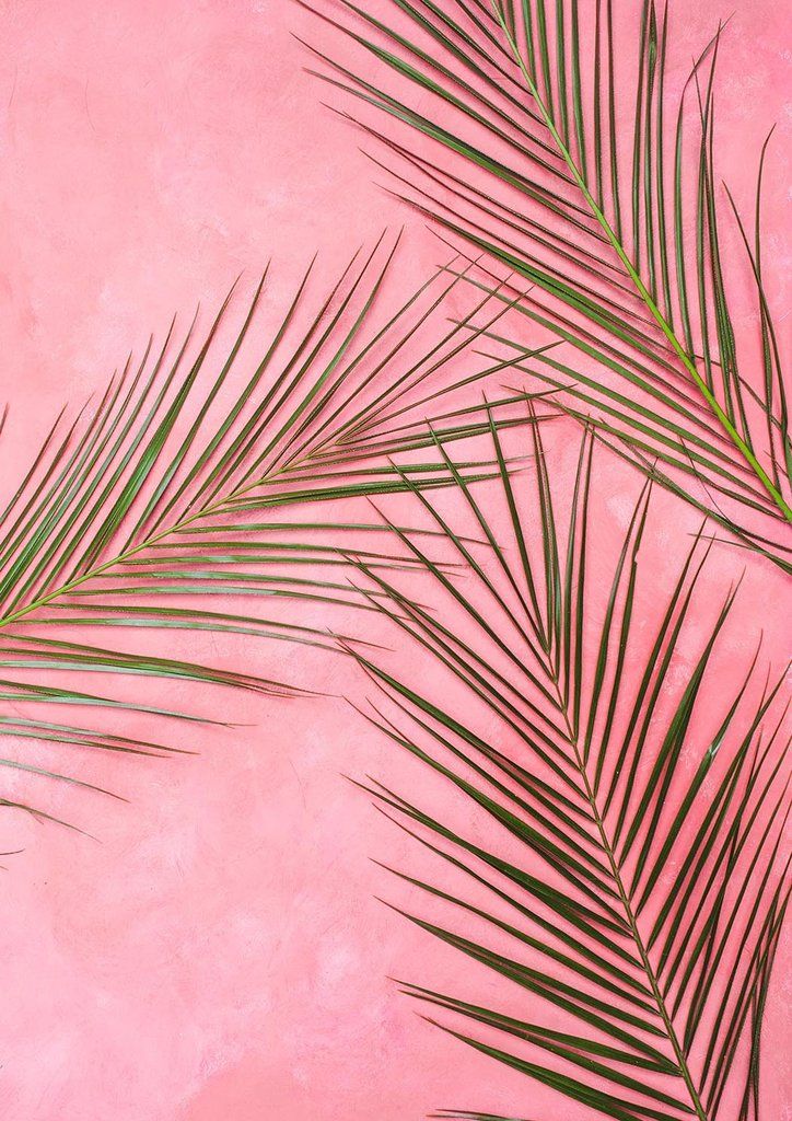 Iphone Wallpaper Pink - HD Wallpaper 