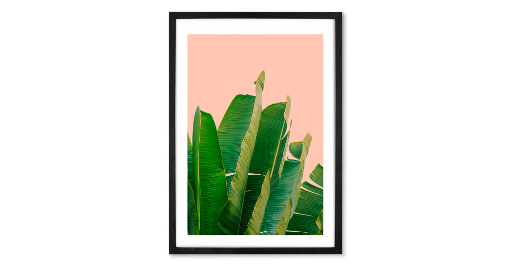 Framed Banana Leaf Print - HD Wallpaper 