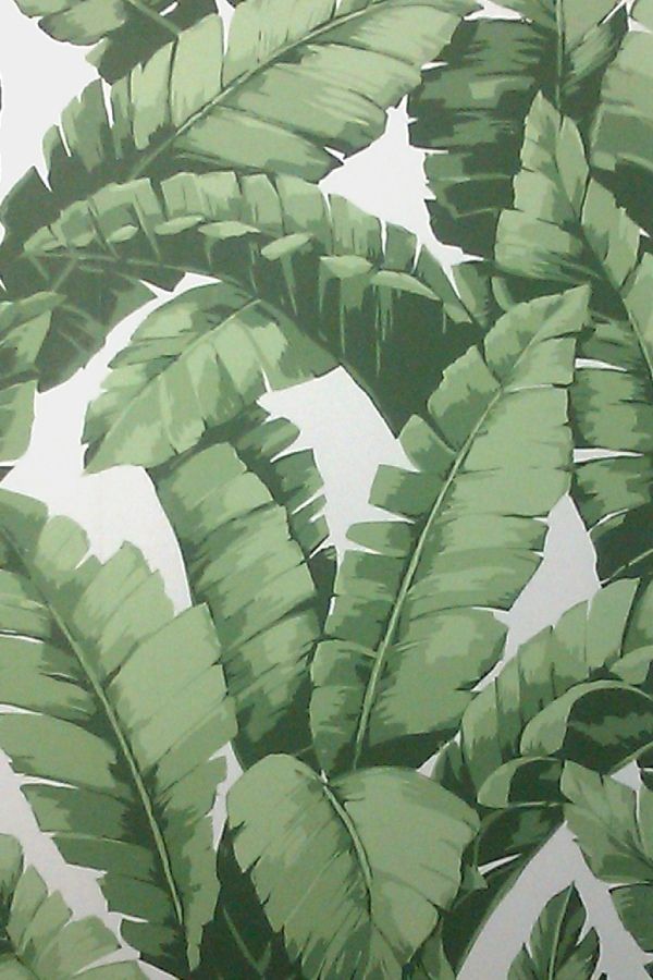 Tropical Leaves Painting Png - HD Wallpaper 