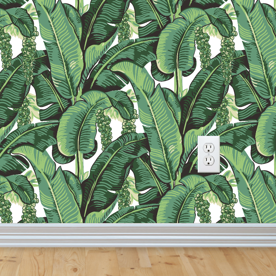 Banana Leaf Plant Wall - HD Wallpaper 