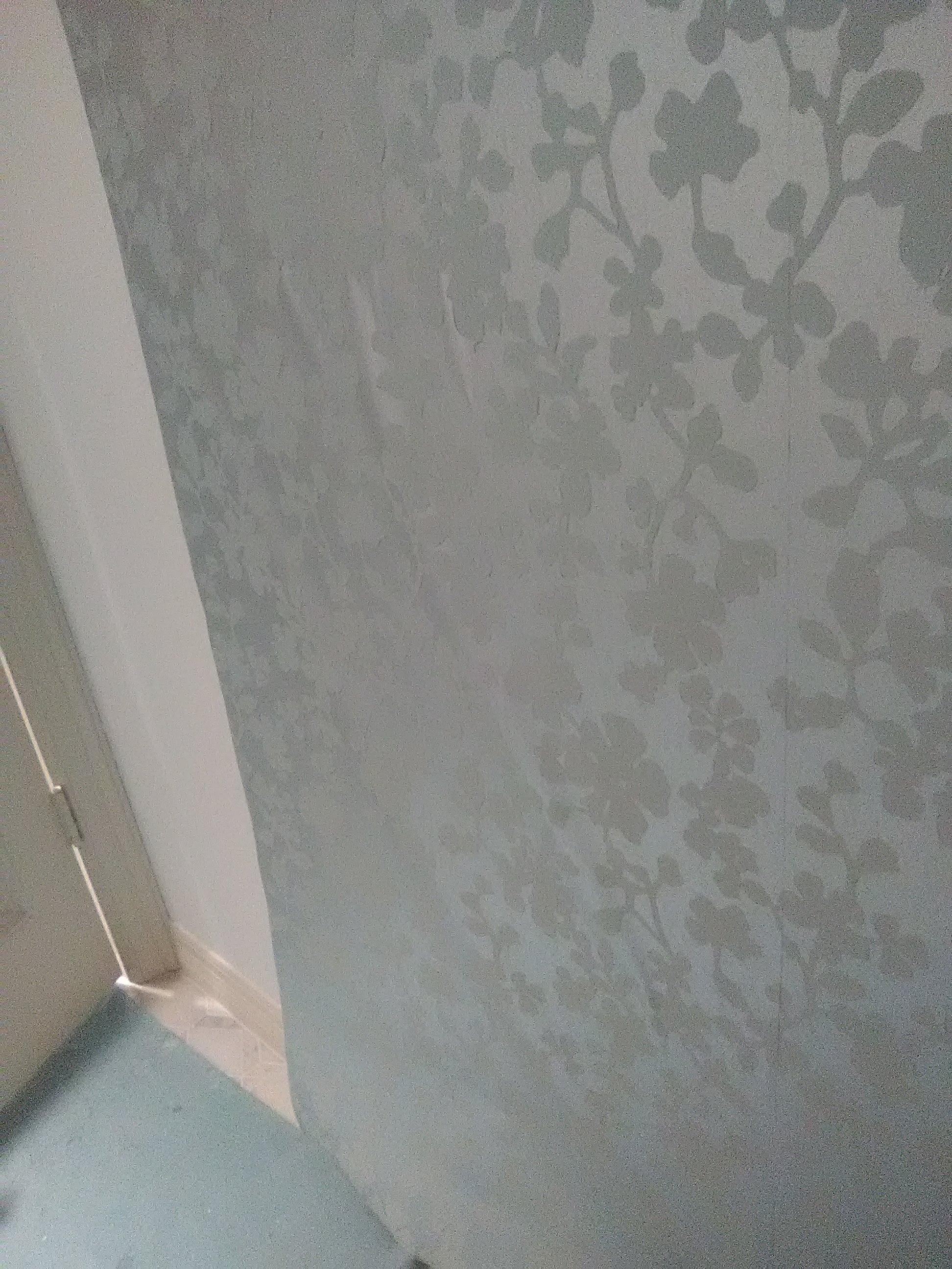 Wallpaper - HD Wallpaper 