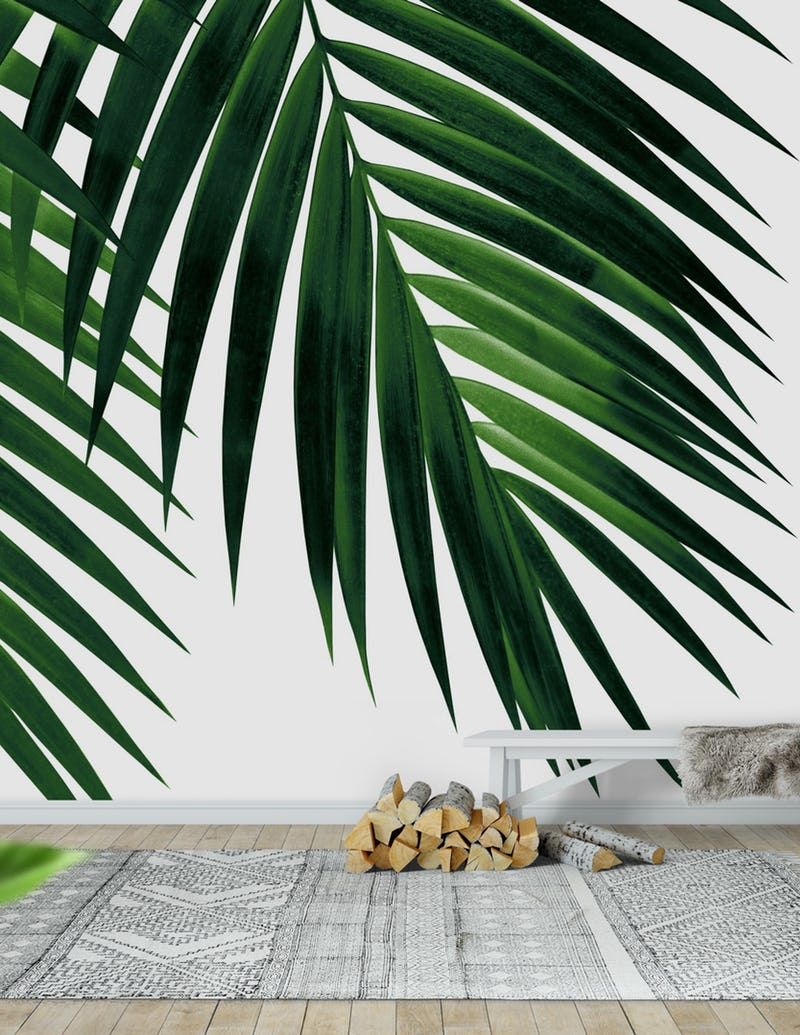 Green Palm Leaves Print - HD Wallpaper 