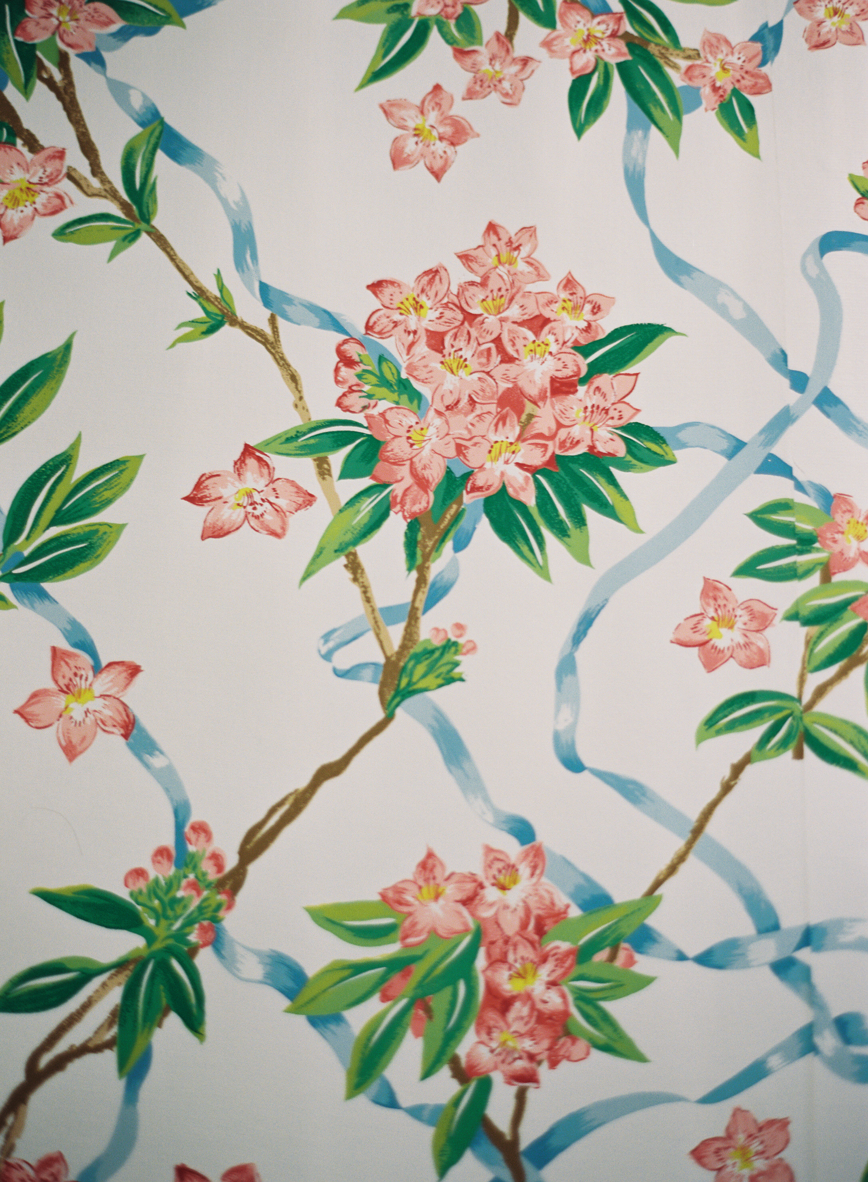 Dorothy Draper Floral Wallpaper At The Greenbrier Resort - Motif - HD Wallpaper 
