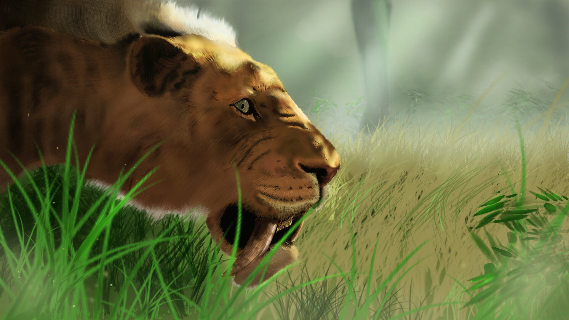 Masai Lion - HD Wallpaper 