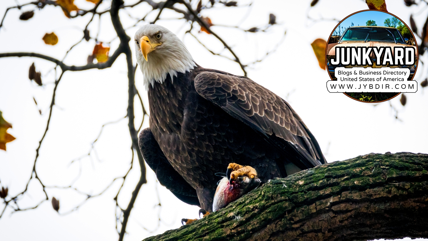 Never Take Your Eyes Off The Target - HD Wallpaper 