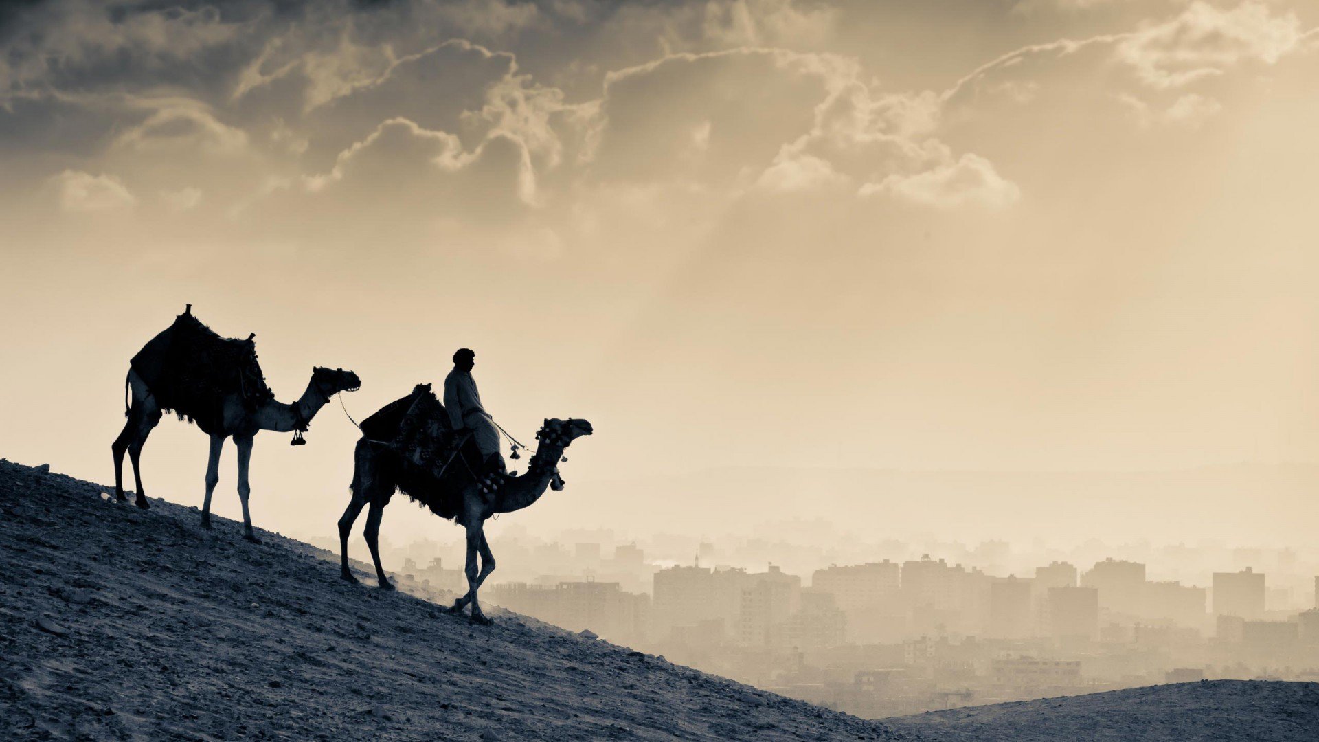 Camel Ride Wallpaper - Happy New Year Camel - 1920x1080 Wallpaper - Camel Ride Wallpaper - Happy New Year Camel - 1920x1080 Wallpaper -