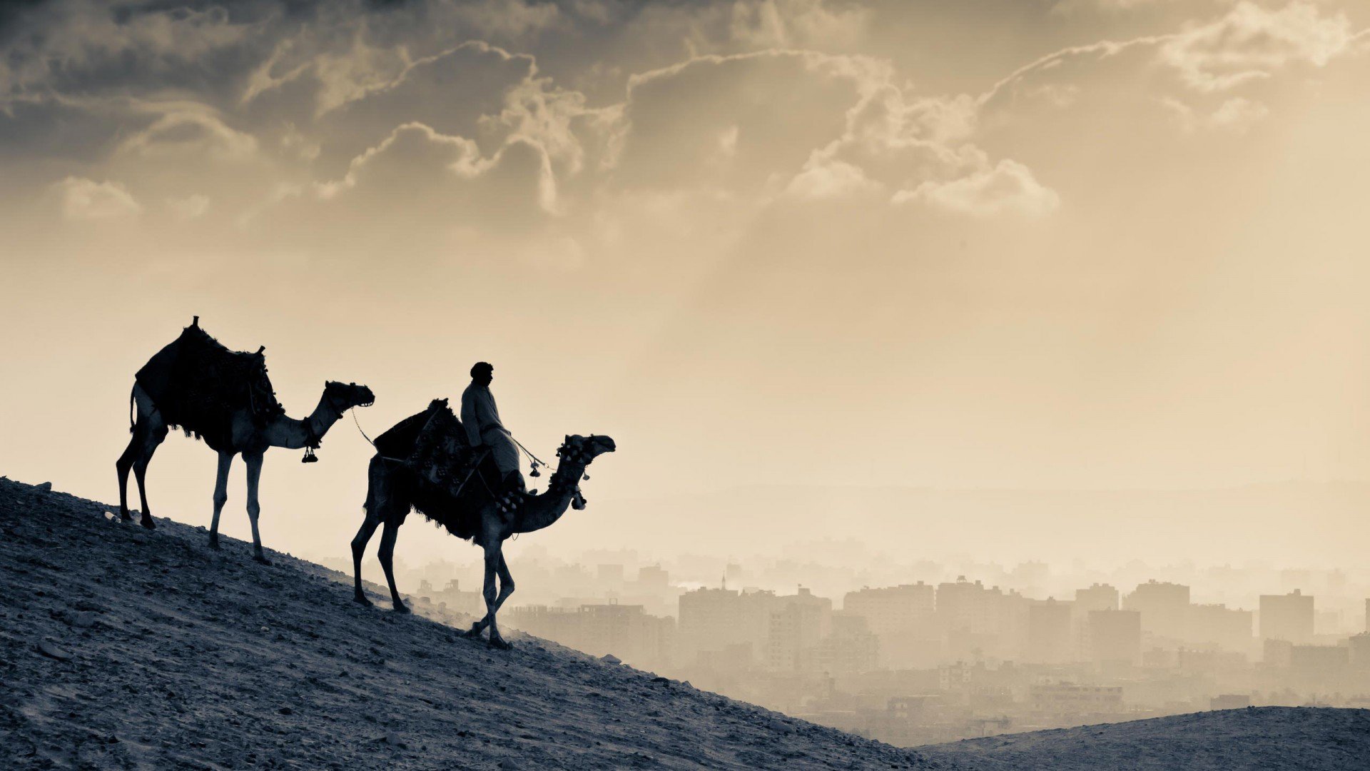 Camel Ride Wallpaper - Happy New Year Camel - HD Wallpaper 