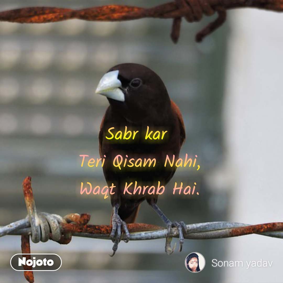 Sabr Kar 
teri Qisam Nahi,
waqt Khrab Hai - Evening Grosbeak - HD Wallpaper 