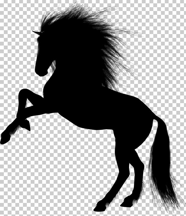 Horse Desktop Equestrian Png, Clipart, Animals, Black - Clipart Christmas Letter S - HD Wallpaper 