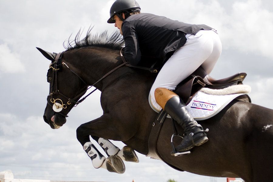 Horse Jumping Wallpaper For Tablet Pc - Horse Jumping Wallpaper Hd - HD Wallpaper 