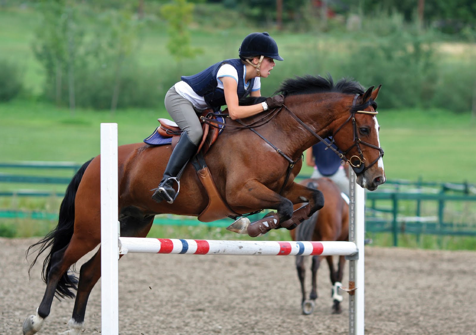 Girl And Horse Jumping - HD Wallpaper 