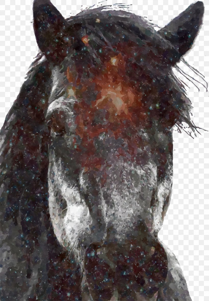 Mustang Iphone 7 Plus Iphone 6 Plus Stallion Desktop - Horse Design T Shirts - HD Wallpaper 