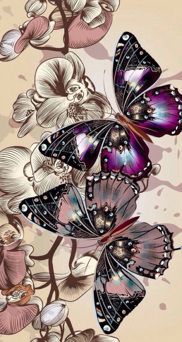 New Butterfly Wallpaper - Imagenes Bellas Para Fondo De Pantalla Celular -  607x1136 Wallpaper - teahub.io