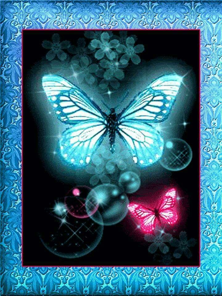 Butterfly Awesome Gif - HD Wallpaper 