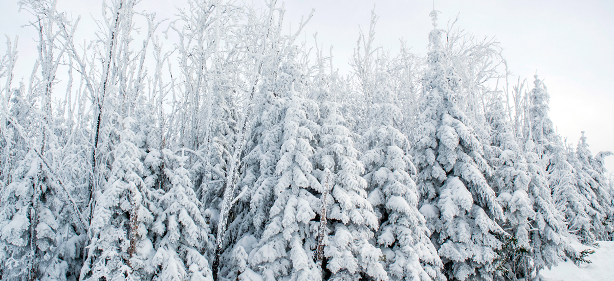 Free February 2013 Calendar - Snow - HD Wallpaper 