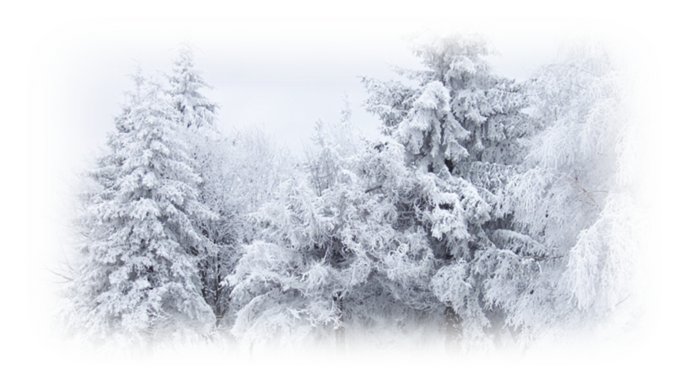 Winter Snow Desktop Wallpaper Cold - Winter Snow Background Free - HD Wallpaper 