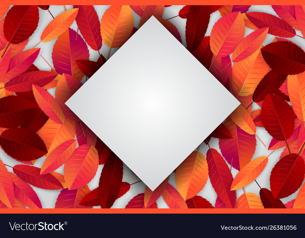 Floral Design - HD Wallpaper 