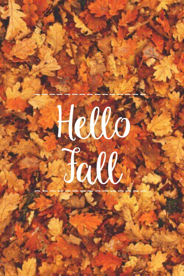 Background, Fall, Orange - Fondos De Pantalla Hojas Otoño - HD Wallpaper 