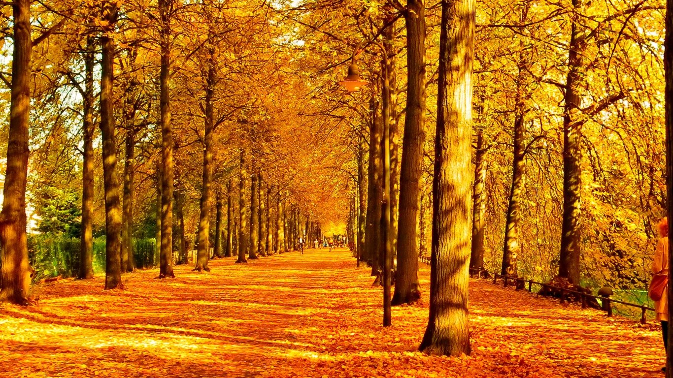 Awesome Fall Free Wallpaper Id - Fall Background - HD Wallpaper 