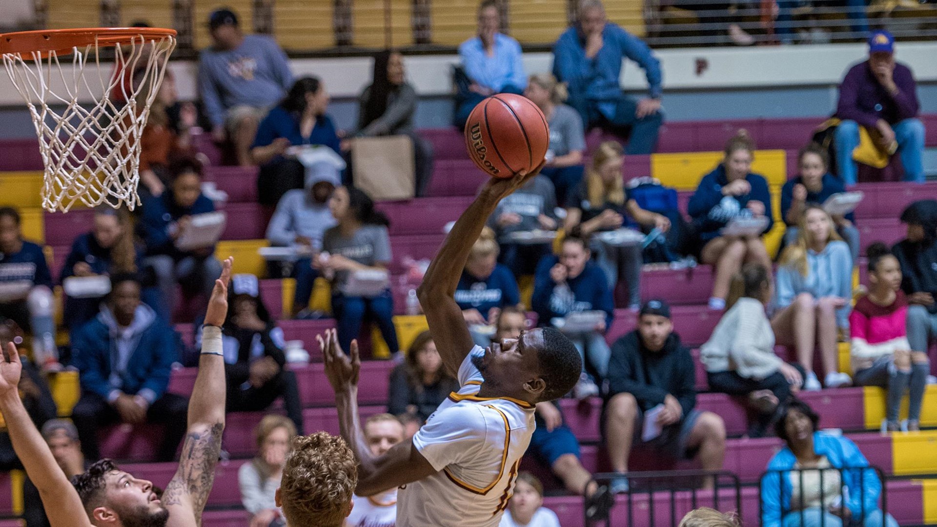 Women's Basketball - HD Wallpaper 