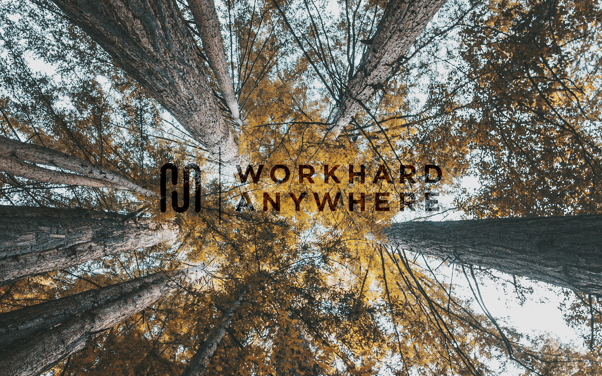 X 1200 Phone 
 Data Src Work Hard Wallpapers Pc - Marzbar Work Hard Anywhere - HD Wallpaper 