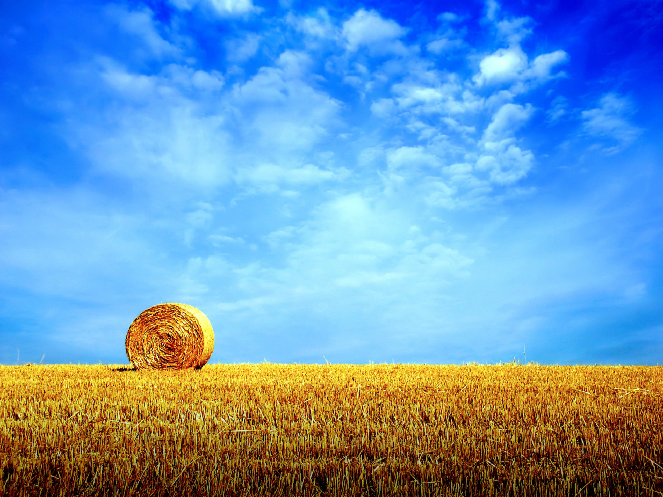 Nature And Summer Time - Hay Field - HD Wallpaper 