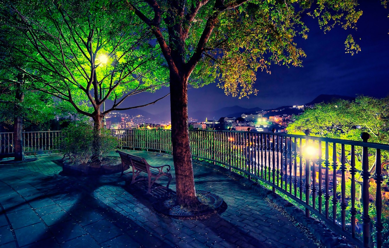 Photo Wallpaper Bench, Lights, Night View, Lookout - New Wallpaper Pc Hd Download - HD Wallpaper 