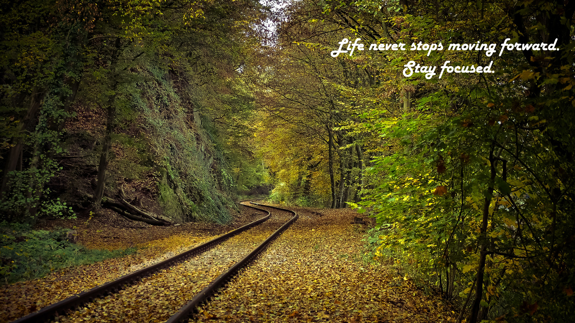 Lightroom Preset Autumn - HD Wallpaper 