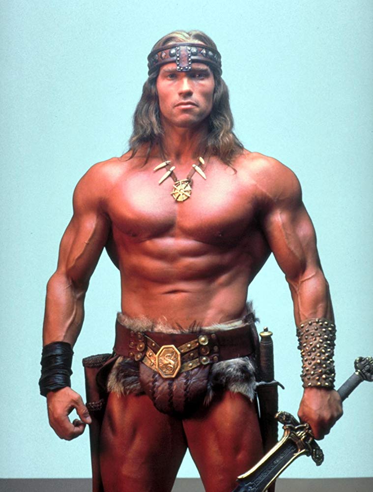 Arnold Schwarzenegger Conan The Barbarian - HD Wallpaper 