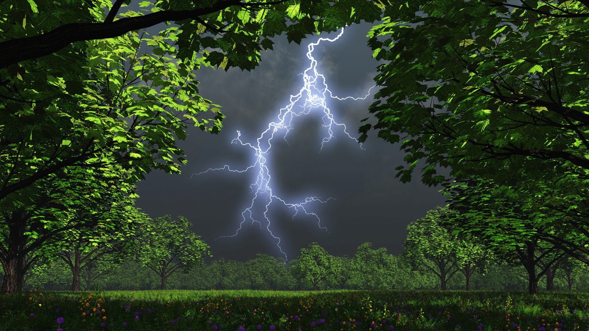 Amazing Nature Hd Desktop Background Wallpaper - Lightning Storm In The Woods - HD Wallpaper 
