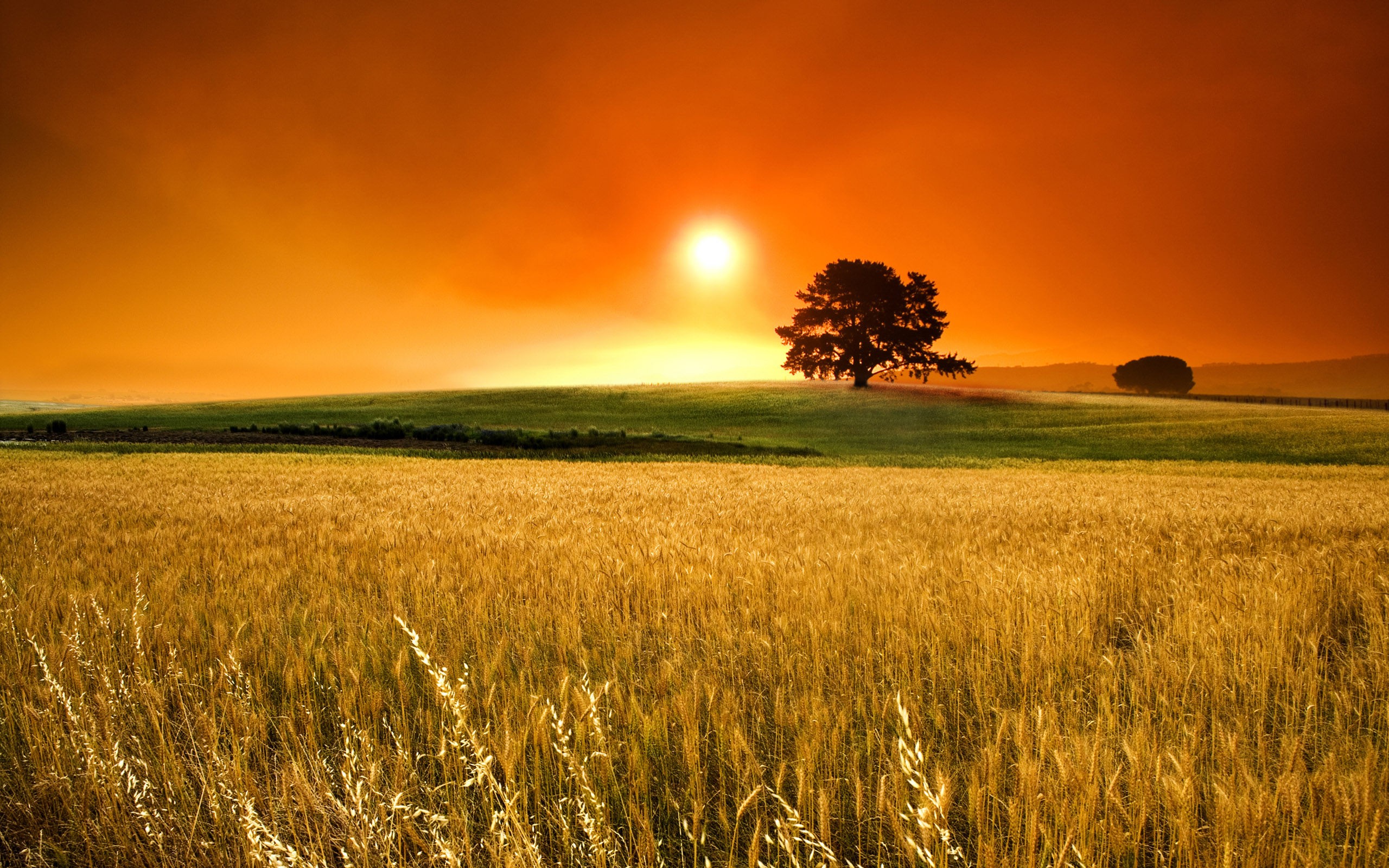 Sunny Background Hd - HD Wallpaper 