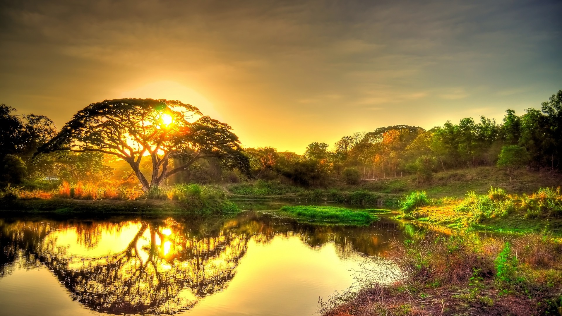 1920x1080, Backgrounds Of Nature Data Id 145096 - Hd Landscape Wallpapers 1080p - 1920x1080 Wallpaper 1920x1080, Backgrounds Of Nature Data Id 145096 - Hd Landscape Wallpapers 1080p - 1920x1080 Wallpaper