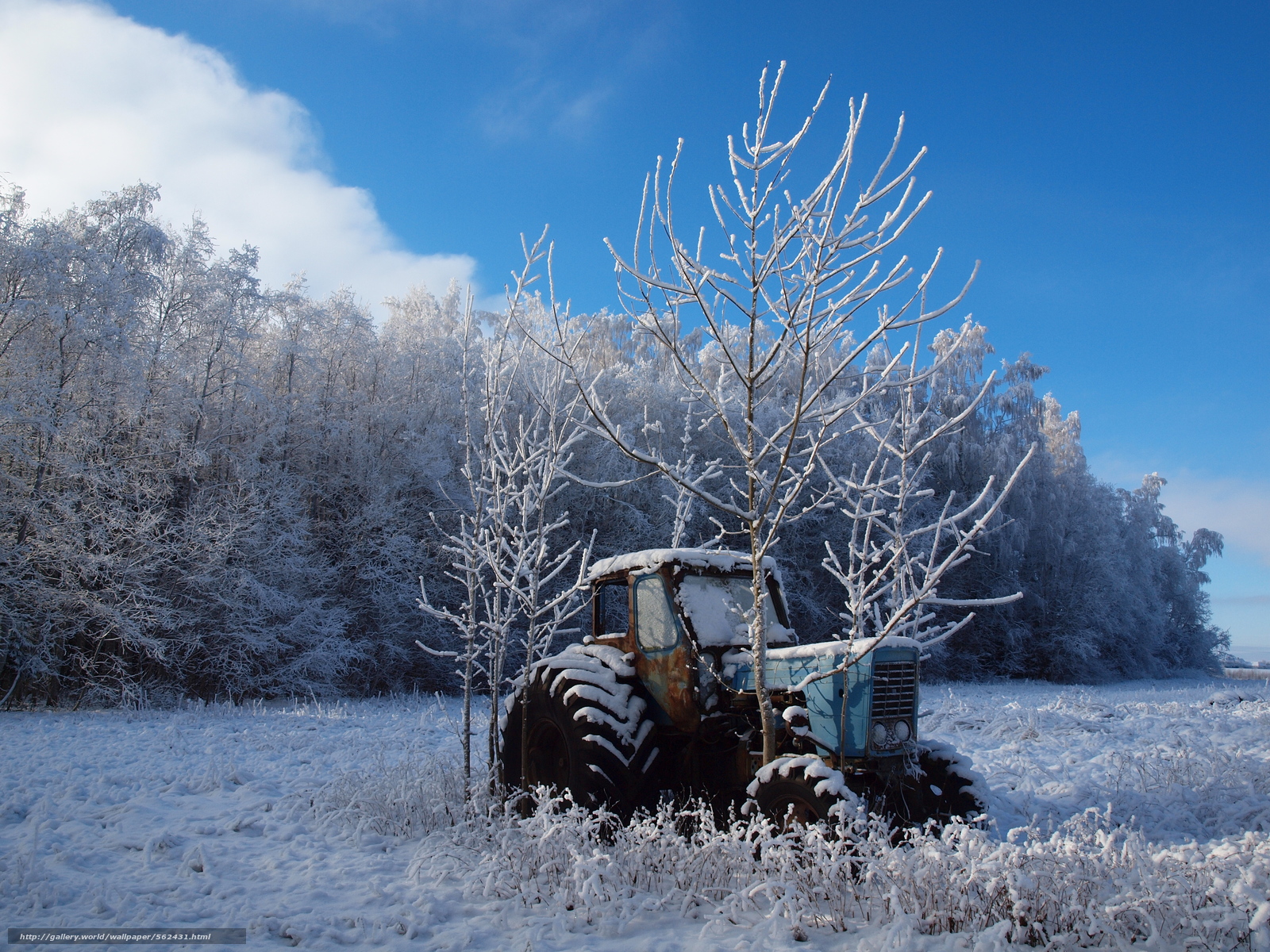 Download Wallpaper Winter, Field, Trees, Tractor Free - Winter Wallpaper Tractor - HD Wallpaper 