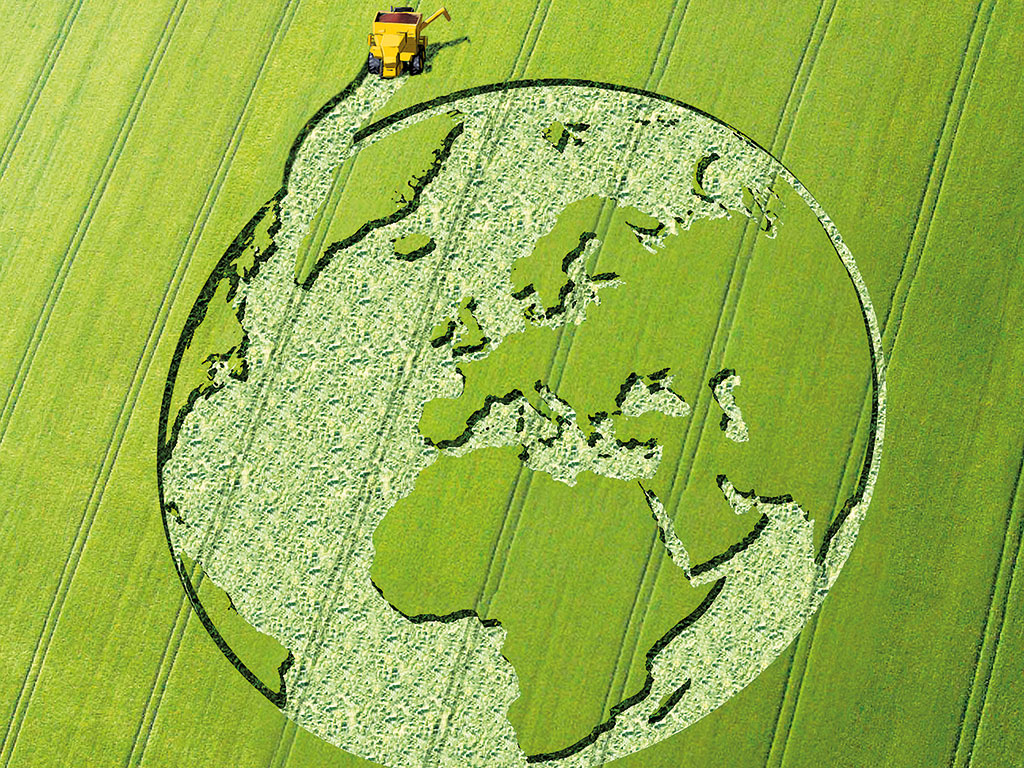 Crop Circle Field - HD Wallpaper 