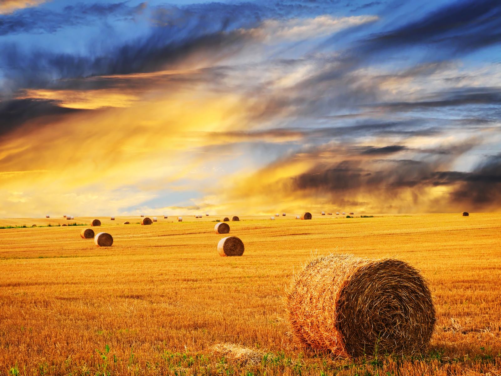 Farming Backgrounds - HD Wallpaper 