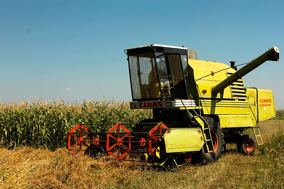Ternopil, Ukraine, Harvester, Field, Corn, Combine, - Field - HD Wallpaper 