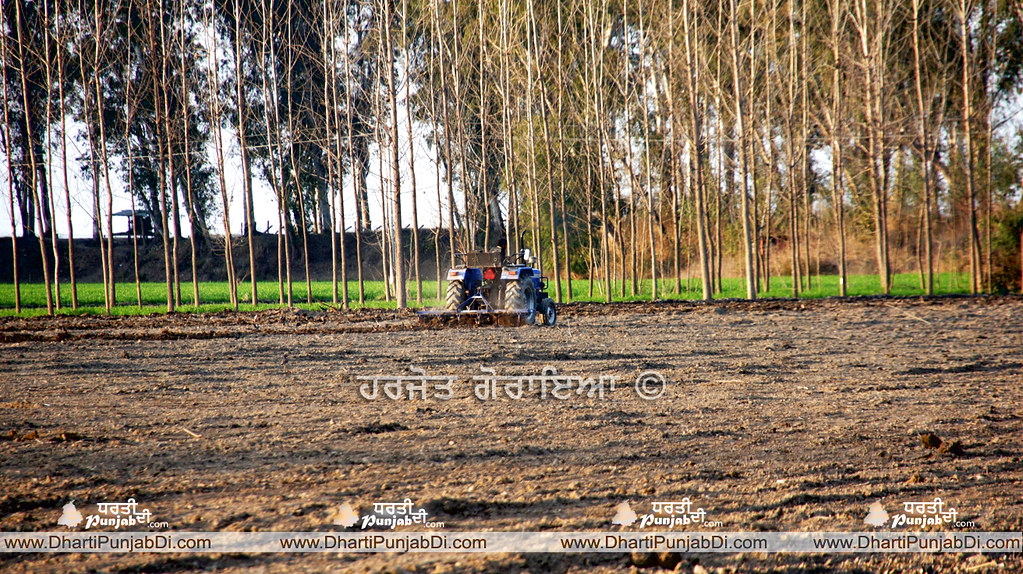 Grove - 1023x574 Wallpaper - teahub.io