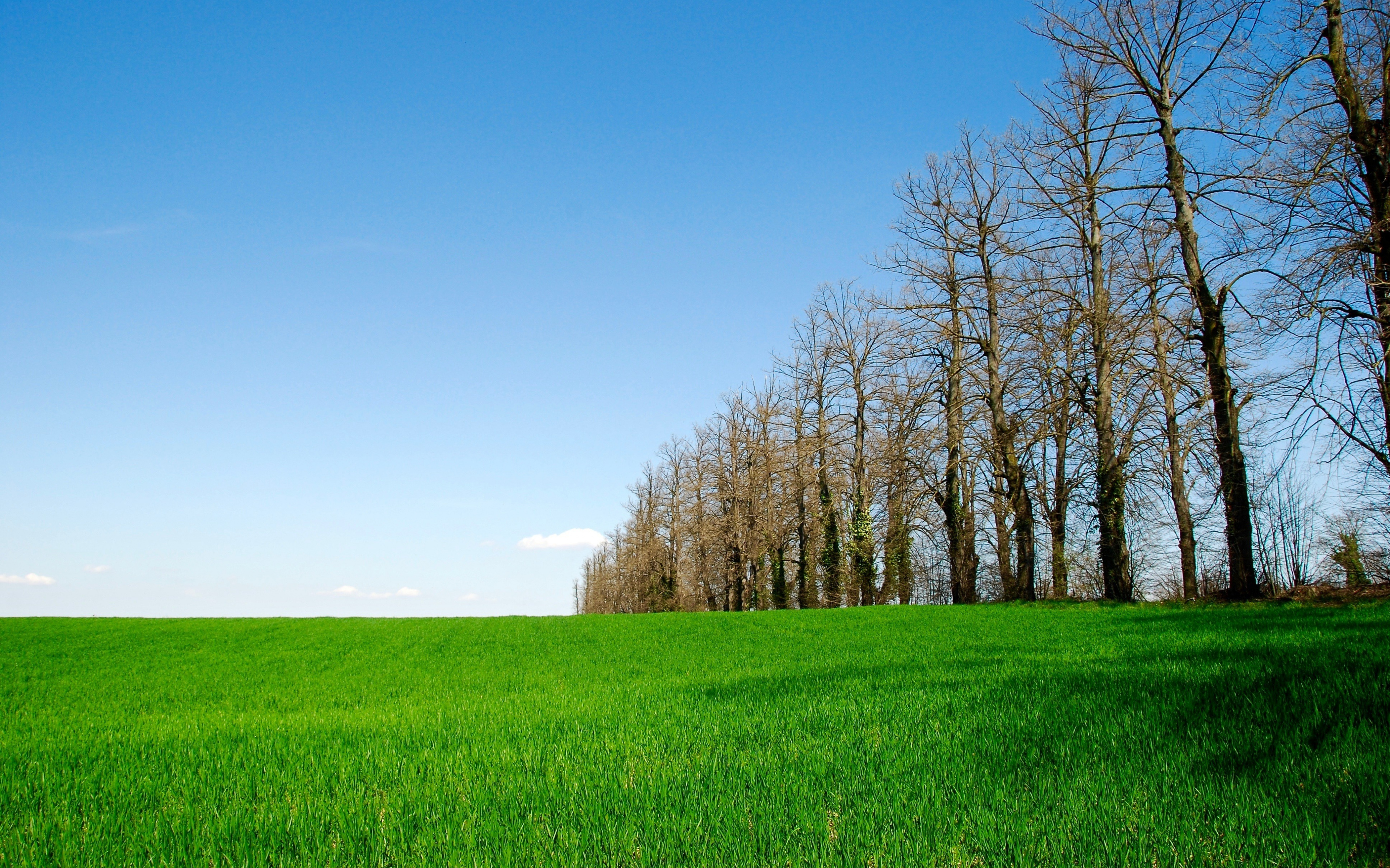Landscape, Farm, Sunny Day, Trees, Wallpaper - Farm Background For Ipad - HD Wallpaper 