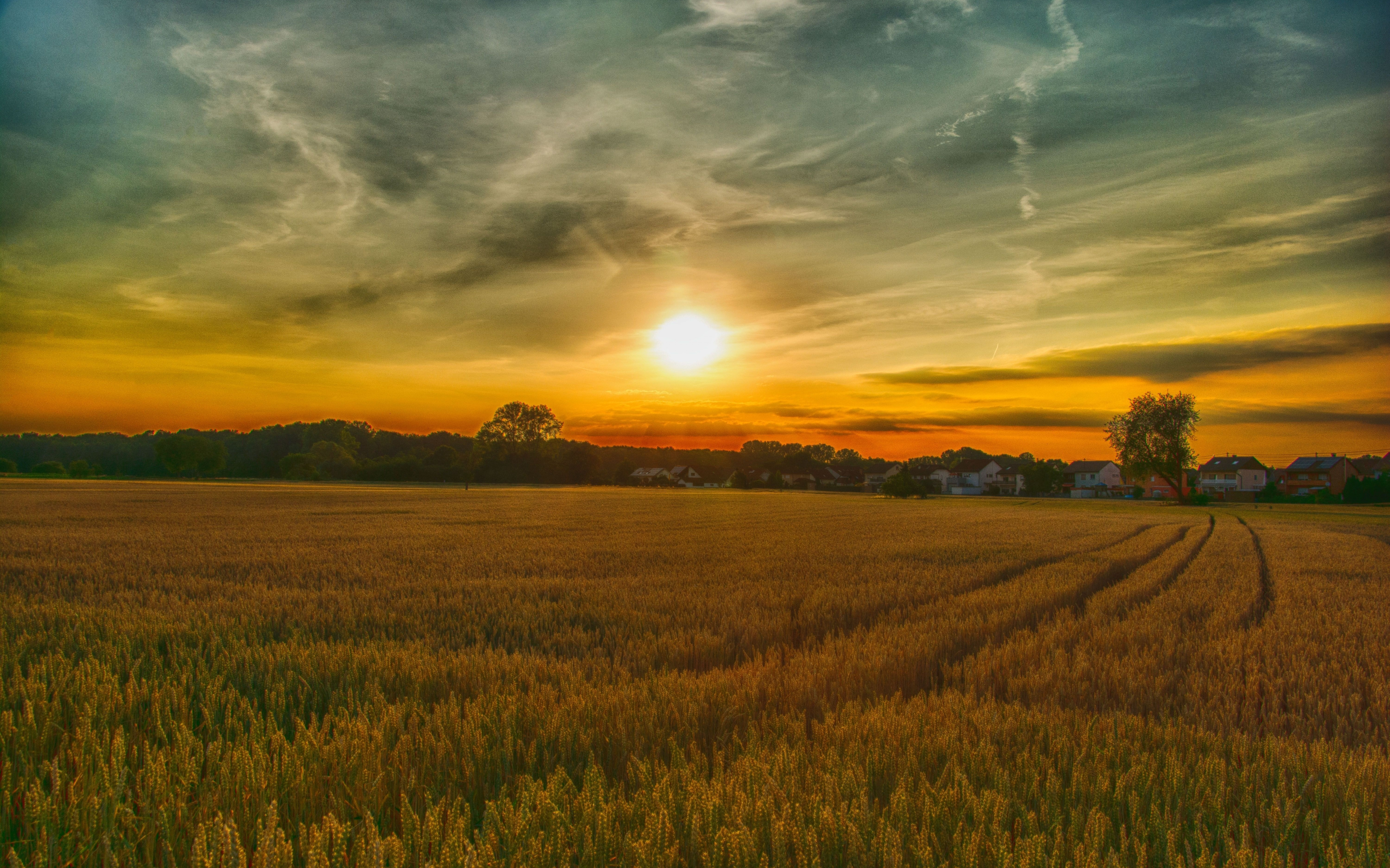 Summer, Sunset, Farm, Landscape, Nature, Wallpaper - HD Wallpaper 