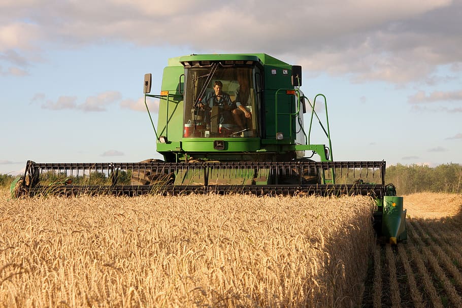 Wheat, Harvest, Farming, Agricultural Machinery, Agriculture, - Cosechadora Trigo - HD Wallpaper 