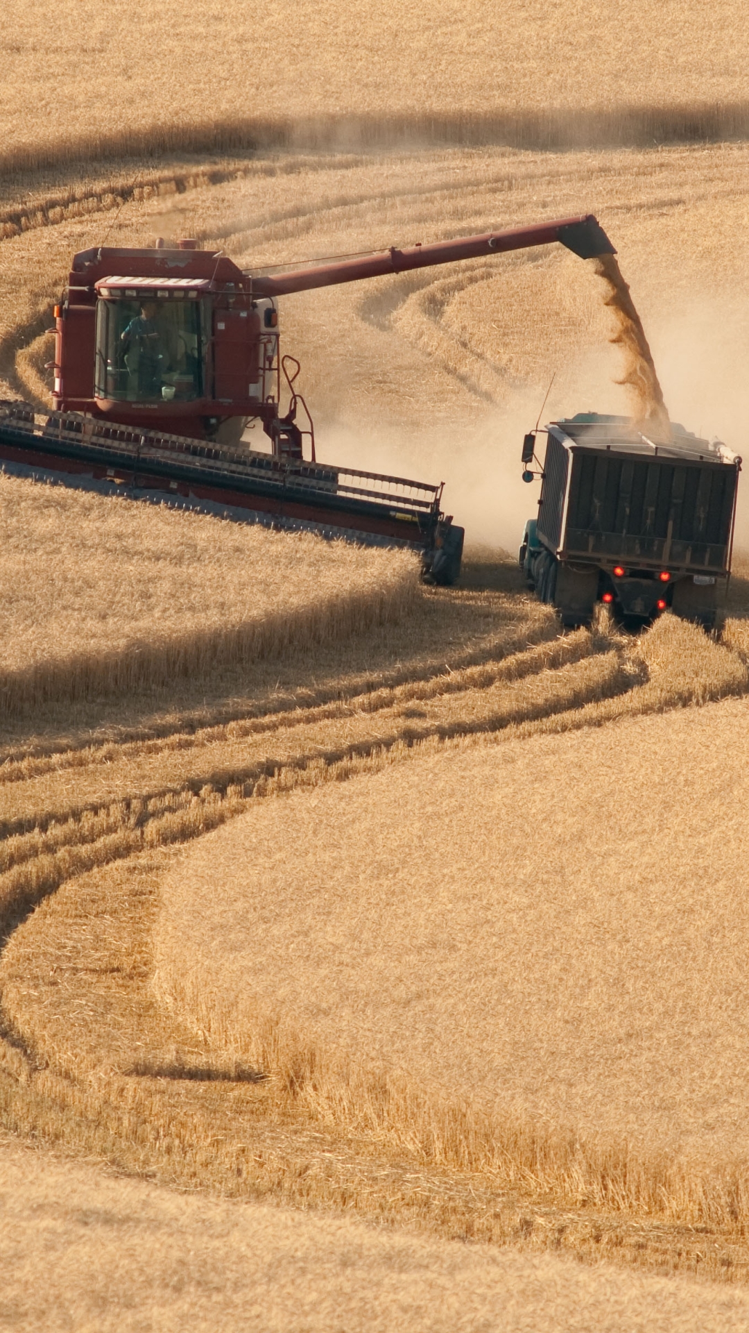 Agriculture Usa Hd - HD Wallpaper 