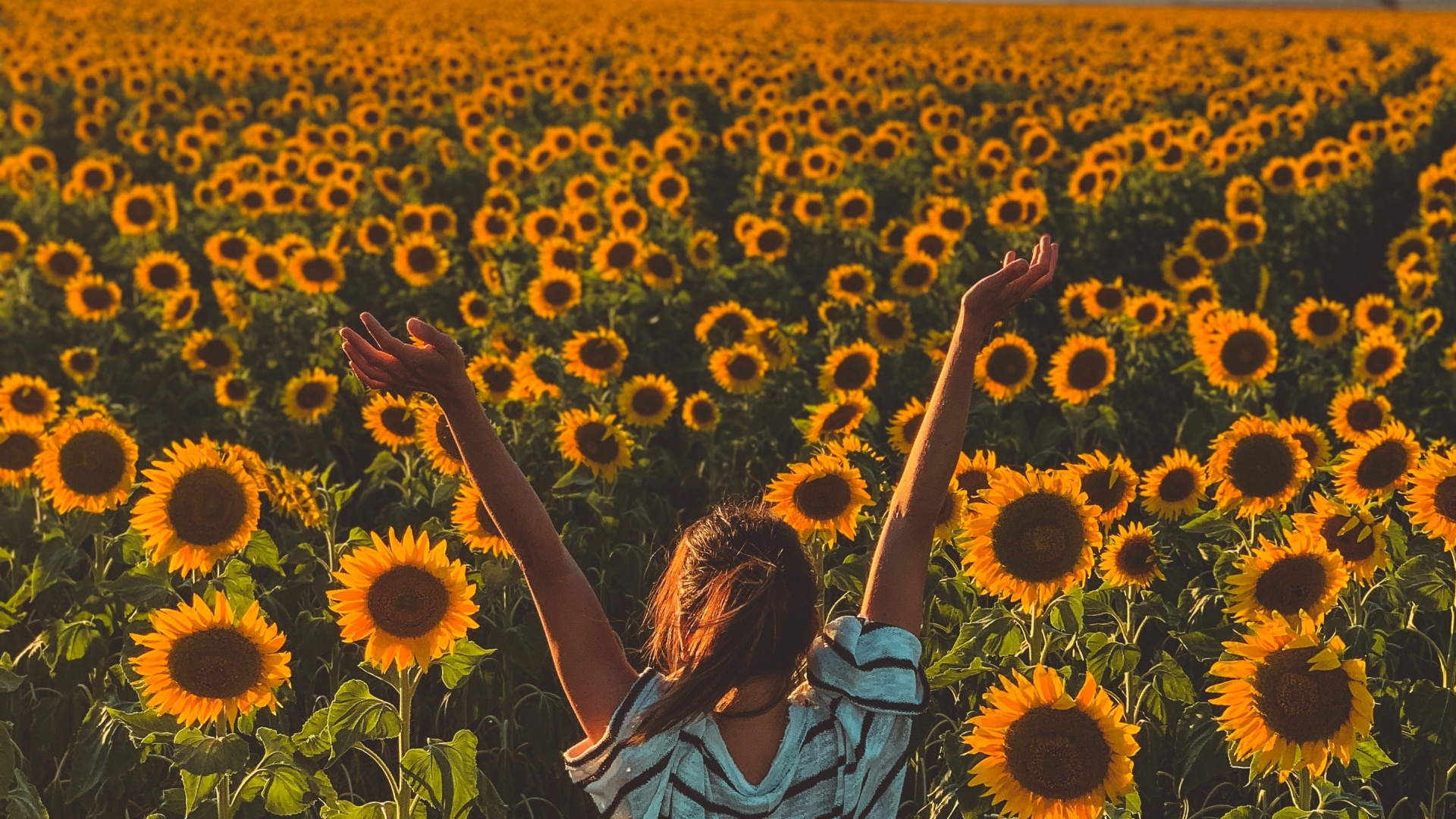 Sunny Day, Sunflowers, Farm, Woman, Wallpaper - Don T Save Anything For A Special Occasion - HD Wallpaper 