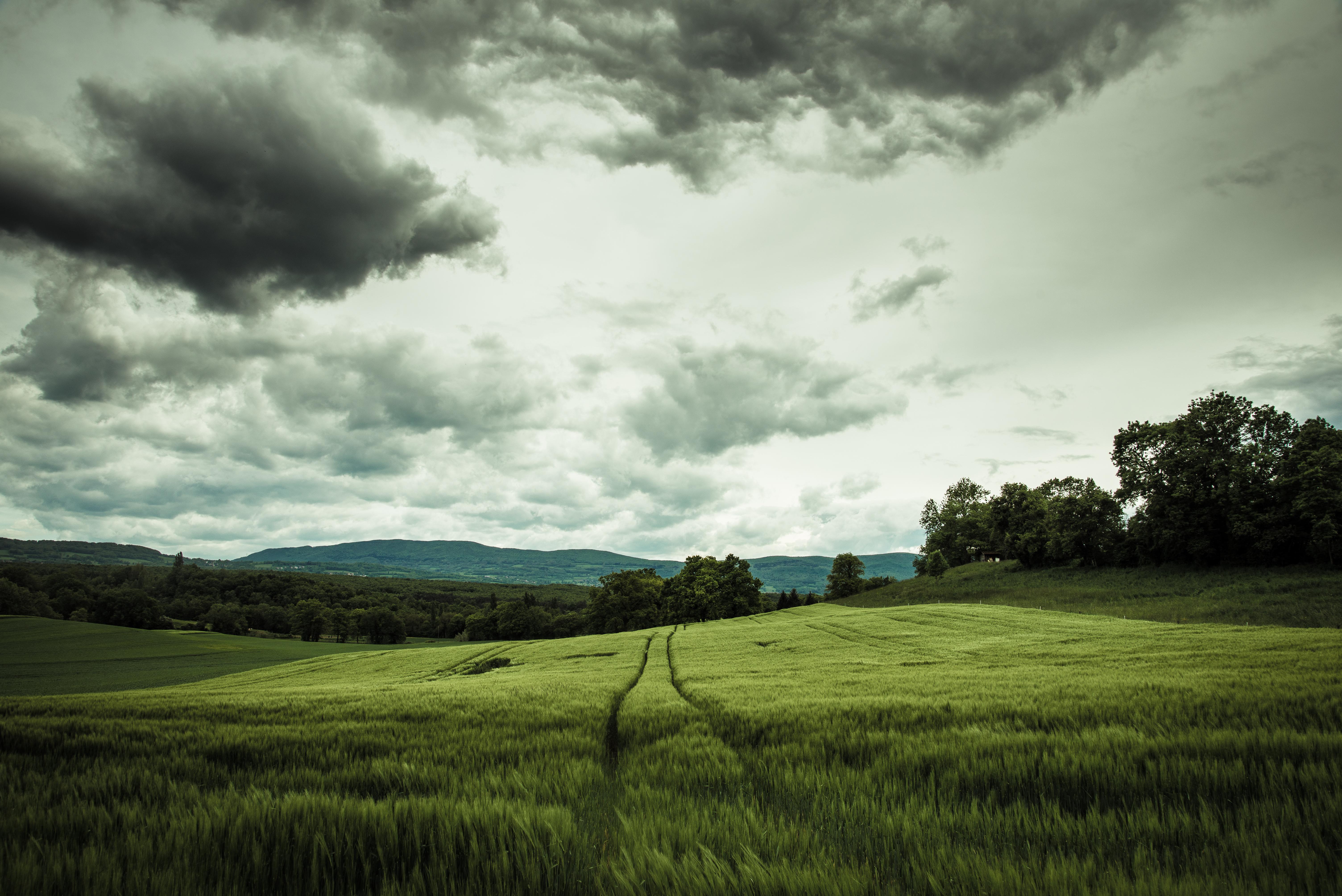 Field, Rye, Landscape, Hills, Relief, Trees, Agriculture - Landscape Hills - HD Wallpaper 
