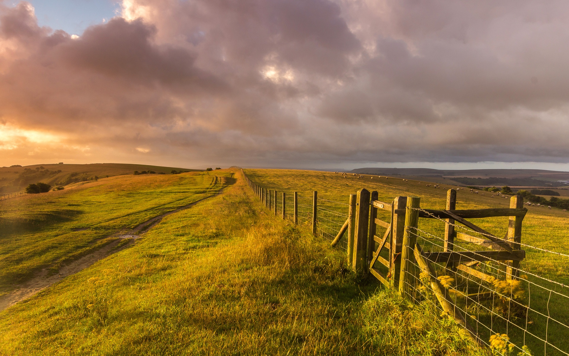 Wallpaper West Sussex, England, Landscape, Grass, Fence, - HD Wallpaper 