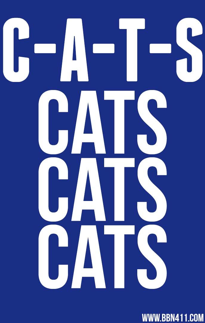 Uk Cats Cats Cats - HD Wallpaper 