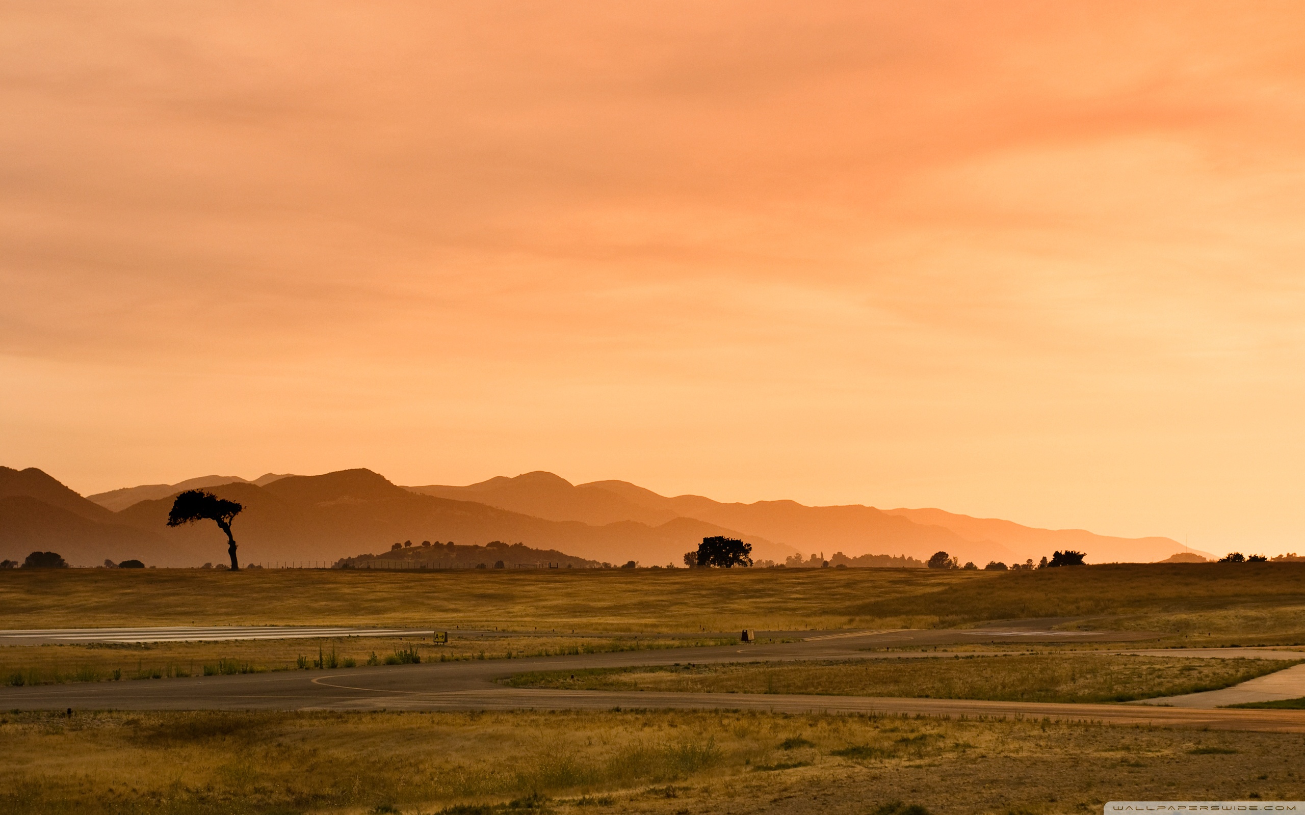 Fondos De La Sabana - 2560x1600 Wallpaper - teahub.io