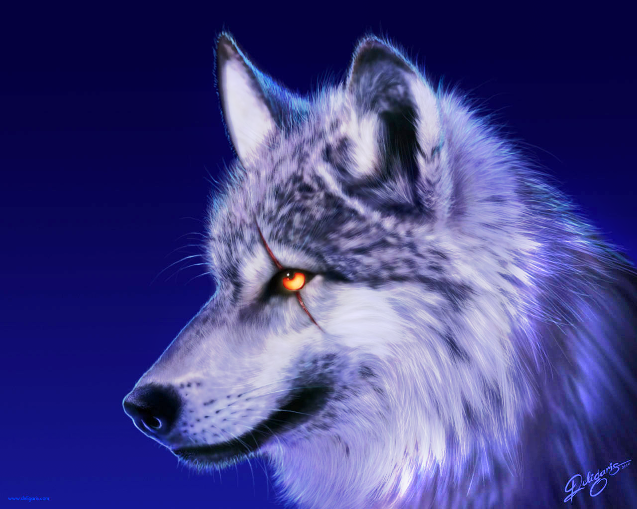 2 Wallpaper, Fairies And Animals - Wild Wolf - HD Wallpaper 